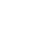 TOC global attendees icon