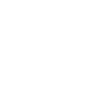 TOC countries represented